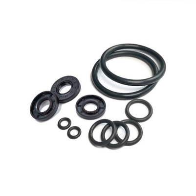 Low Temperature Resistant FMVQ Rubber O-ring for Moulding Service and Sealing Needs