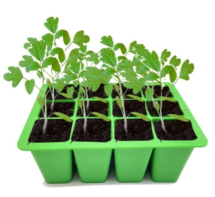 Silicone Nursery Trays Lids Corrosion Resistant Seed Germination Tray for Greenhouse
